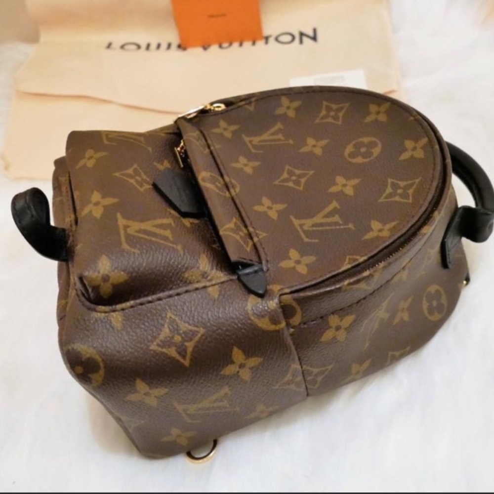 Louis Vuitton bkpk
